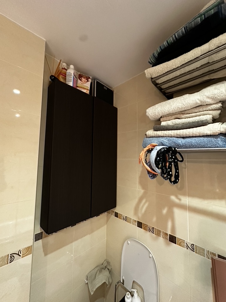 Sanitario y almacenamiento del baño antes de la reforma